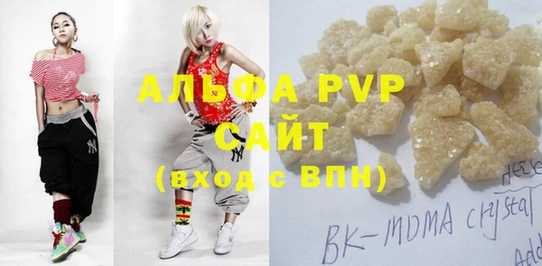 стаф Алексин