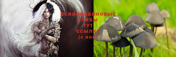 стаф Алексин