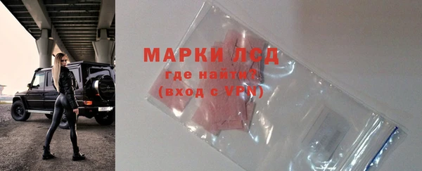 стаф Алексин