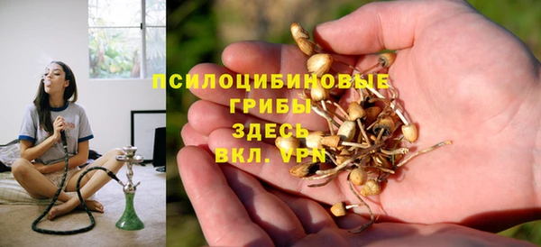 стаф Алексин